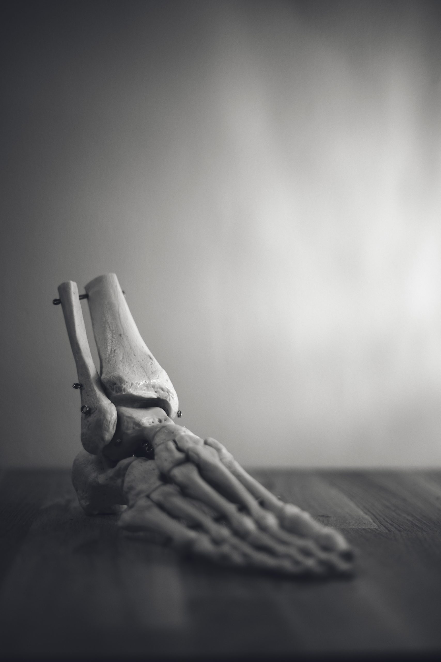 Photo by freestocks on Unsplash